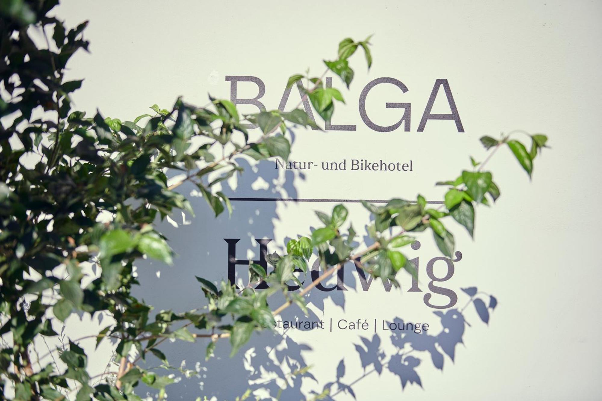 Hotel Balga Natur- Und Bikehotel Balgach Eksteriør billede